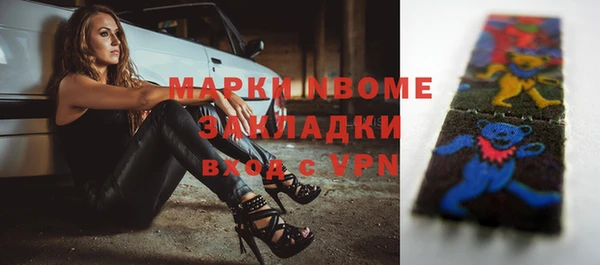 прущие грибы Нефтекумск