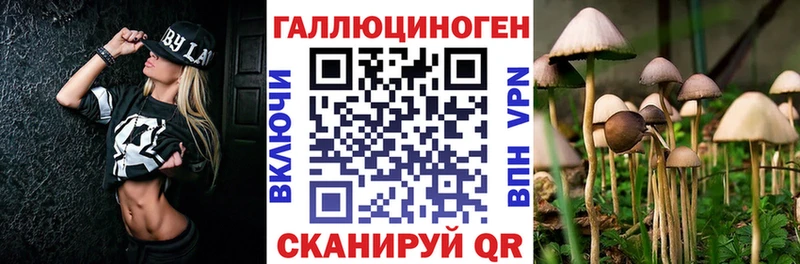 Галлюциногенные грибы мицелий  наркота  Советск 